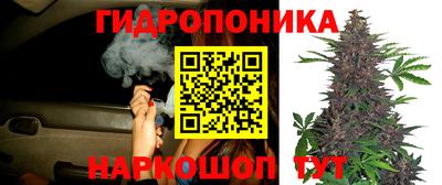 круглые Краснознаменск