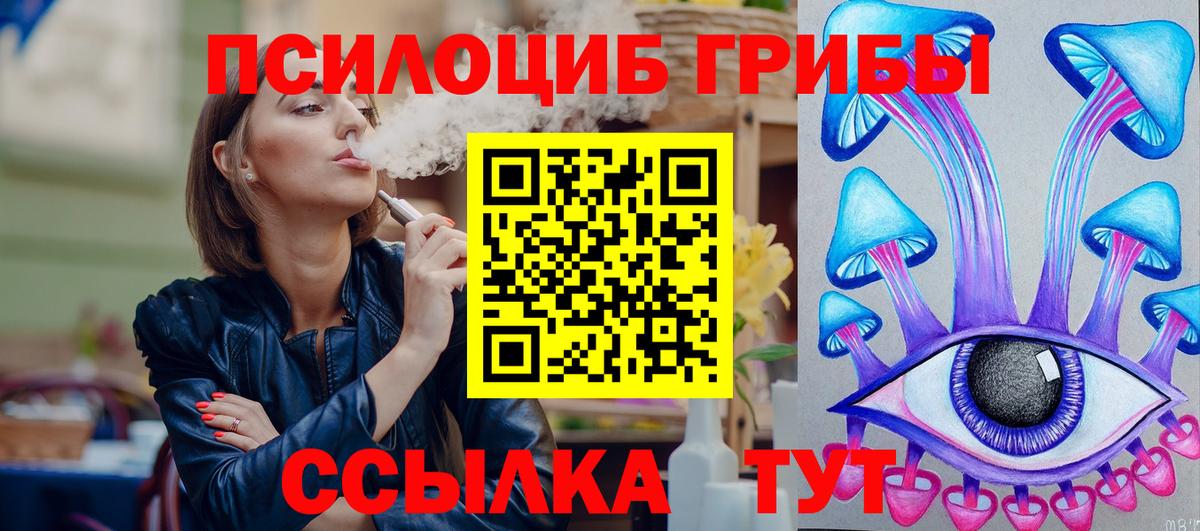 Псилоцибиновые грибы Cubensis Бузулук